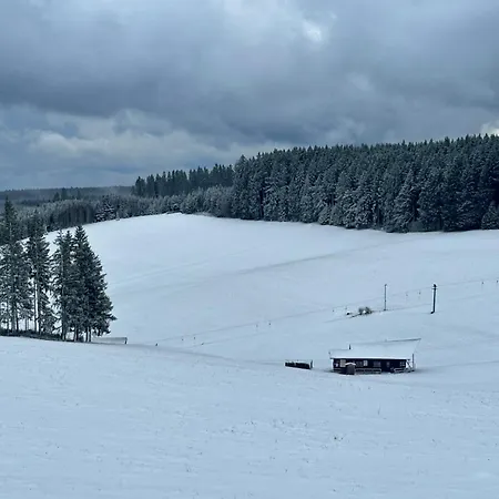 Jacky Apartment Schoenwald im Schwarzwald