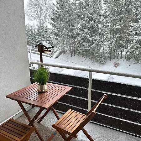 Apartment Jacky Schoenwald im Schwarzwald